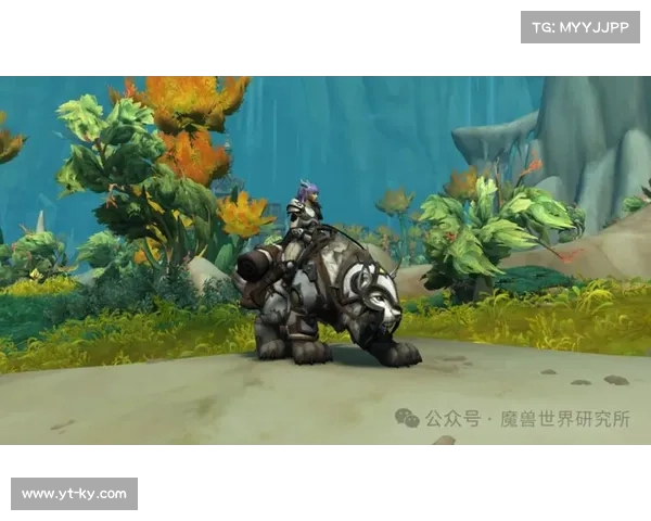 魔兽9.0：名望提升之路